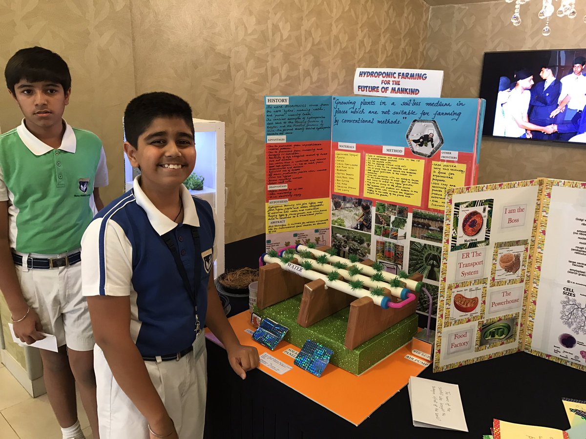 Innovations in Science Fair